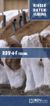 RDV4F Flyer