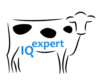 IQ-Expert